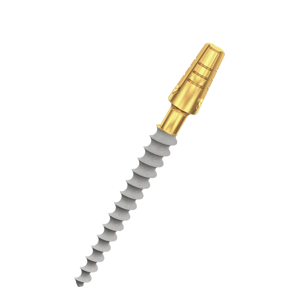 Dental Implant, ROOTT C, D 3.0 mm, L 20 mm.
