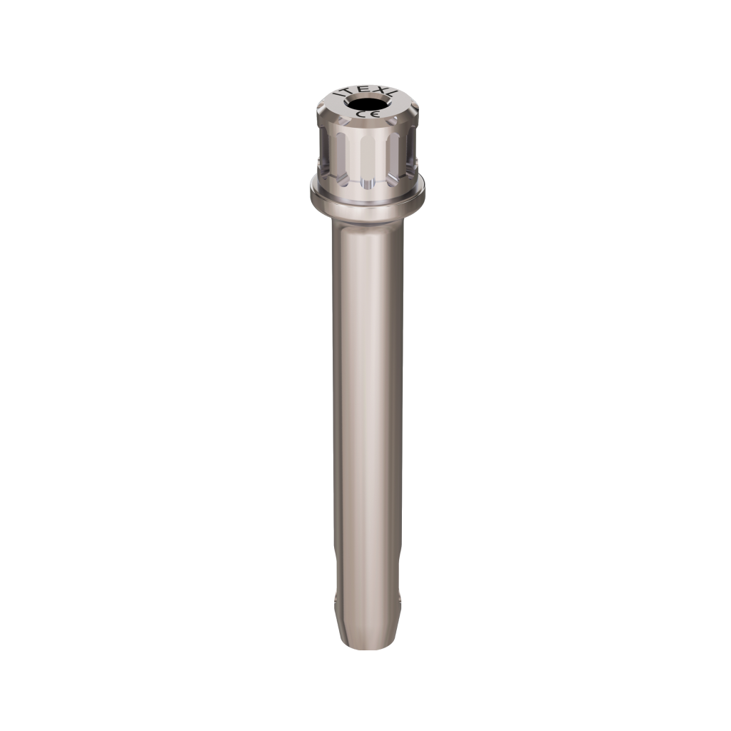 Implant driver, ratchet, XL, C.